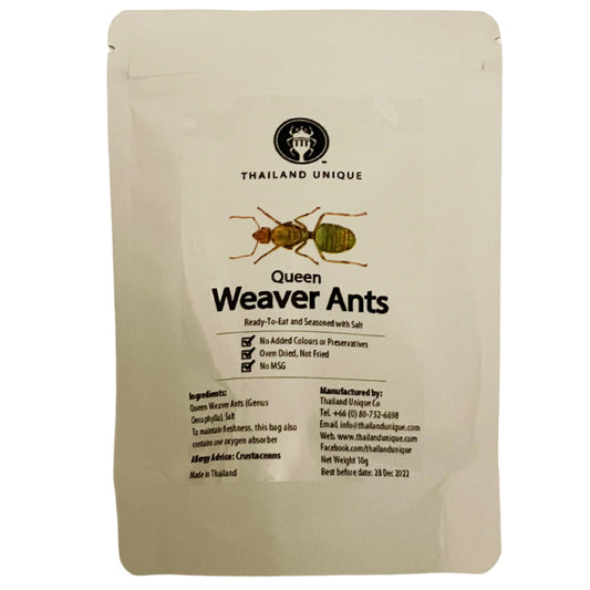 Thailand Unique Queen Weaver Ants - High Protein Sustainable Edible Superfood